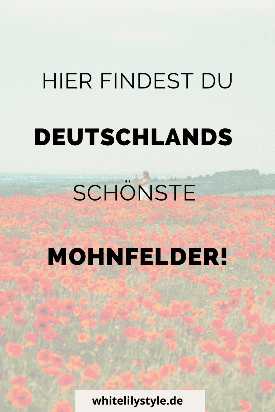 Mohnfelder in Deutschland - Hier gibt es die schönsten Mohnfelder und wann ist die Blütezeit der Mohnblume
