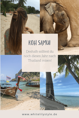 Koh Samui Eine Trauminsel in Thailand mit paradiesischen Stränden und Sehenswürdigkeiten