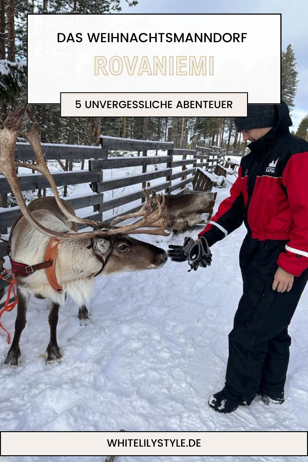 Weihnachtsmanndorf in Rovaniemi - Ein unvergessliches Winterabenteuer